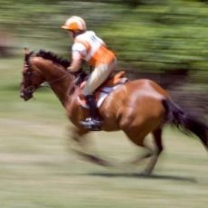 Cross Country Horse Riding – a beginner’s guide